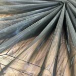 تور زونیکس نرم